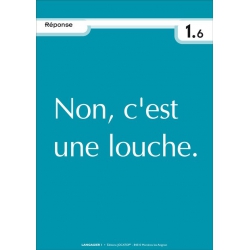 Réponse "Arbitraire de la langue"
