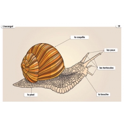Exemple de tableau (32 x 45 cm)