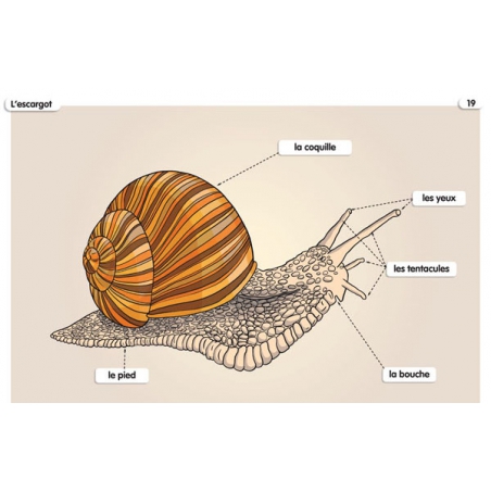 Exemple de tableau (32 x 45 cm)