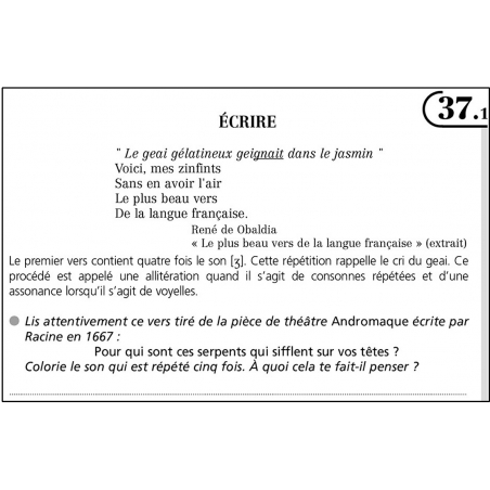 Exemple de fiche