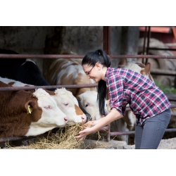 Extrait de la bibliotèque - photographies
