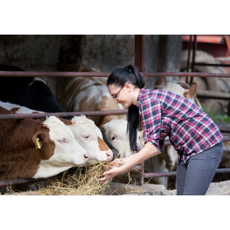 Extrait de la bibliotèque - photographies