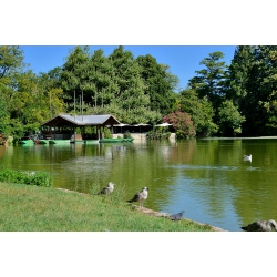 Extrait de la bibliothèque - photographies