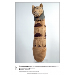 Présentation de l'oeuvre
Ensemble pédagogique – Pratiques artistiques – Maternelle (PS, MS, GS) – JOCATOP