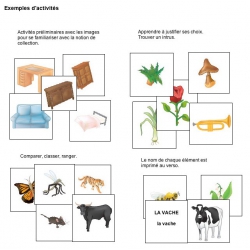 Exemple d'activités