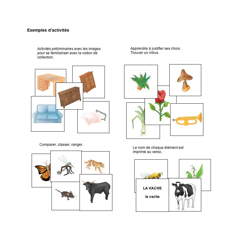 Exemple d'activités