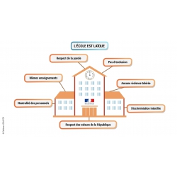 Vidéos et animations