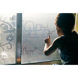 Extrait de la bibliothèque de médias - photographies et illustrations