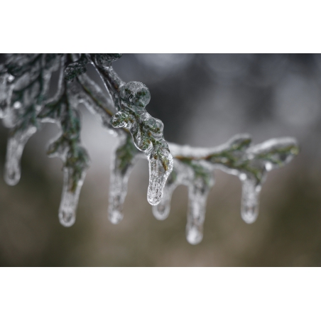 Extrait de la bibliothèque de médias - photographies et illustrations