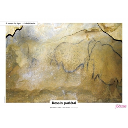 POSTERS QUESTIONNER LE TEMPS CE1-CE2