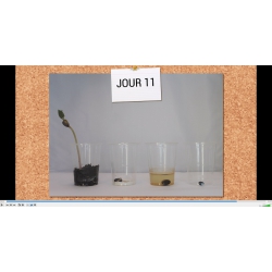 Vidéo / Vidéo d'expérience