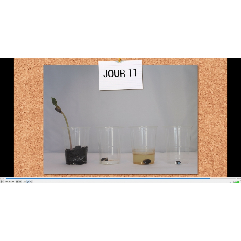 Vidéo / Vidéo d'expérience