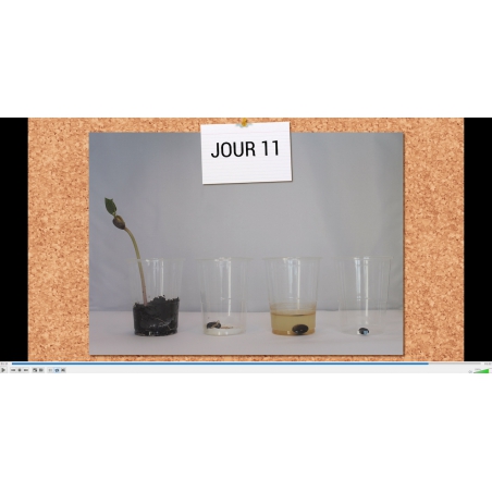 Vidéo / Vidéo d'expérience