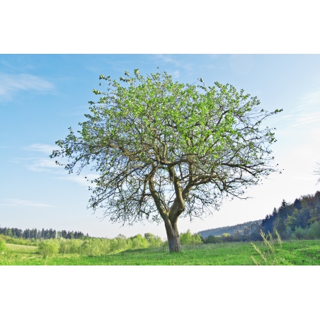 Photographies et illustrations