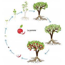 Photographies et illustrations