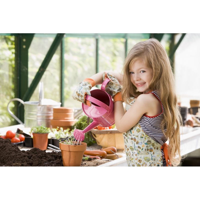 Photographies et illustrations