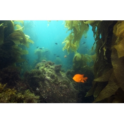 Photographies et illustrations