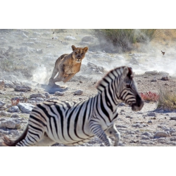 Photographies et illustrations