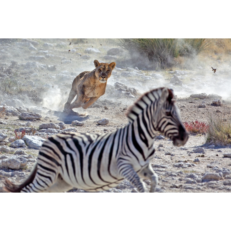 Photographies et illustrations