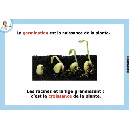 LES LEÇONS NUMÉRIQUES QUESTIONNER LE MONDE