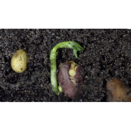 LES LEÇONS NUMÉRIQUES QUESTIONNER LE MONDE