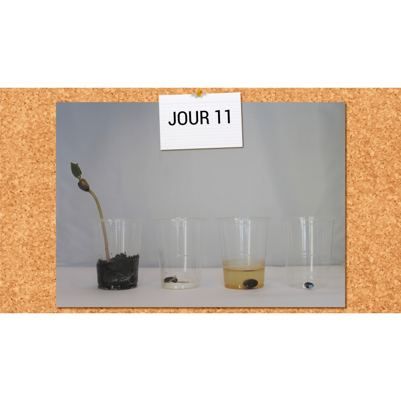 LES LEÇONS NUMÉRIQUES QUESTIONNER LE MONDE