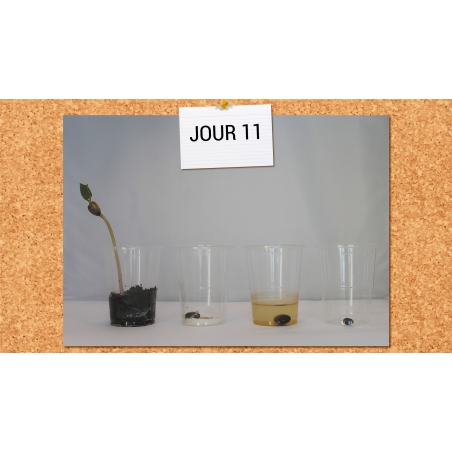 LES LEÇONS NUMÉRIQUES QUESTIONNER LE MONDE