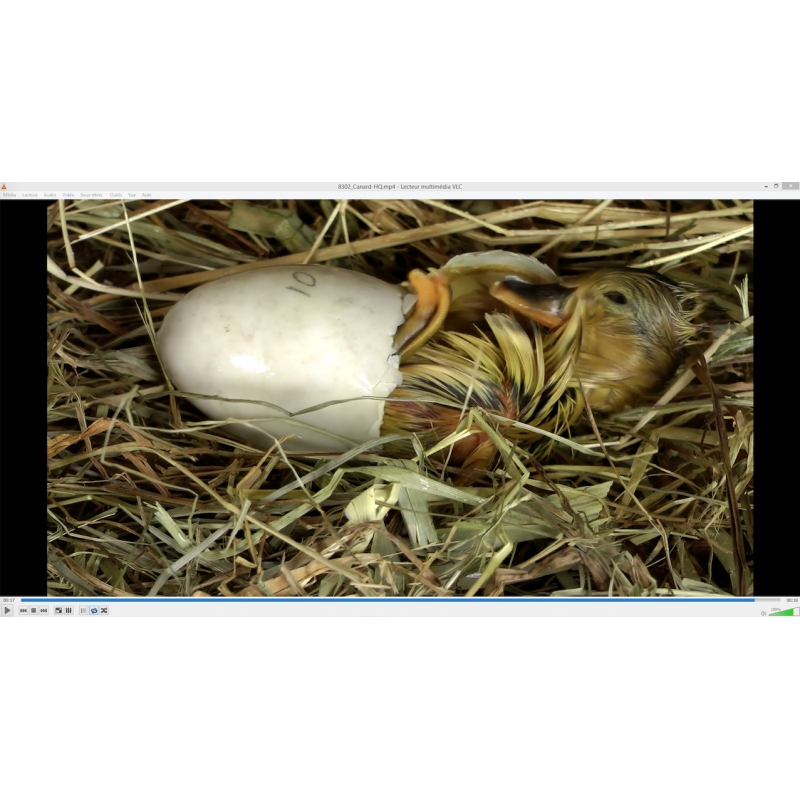 LES LEÇONS NUMÉRIQUES QUESTIONNER LE MONDE