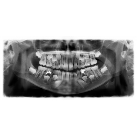 LES LEÇONS NUMÉRIQUES QUESTIONNER LE MONDE