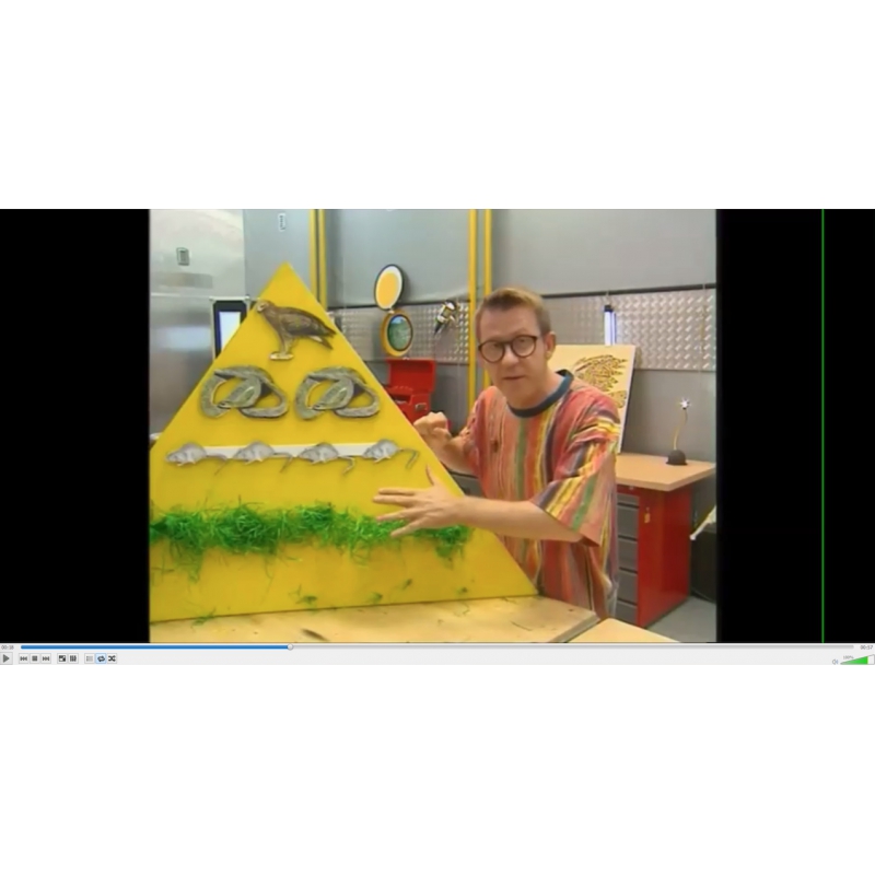 LES LEÇONS NUMÉRIQUES QUESTIONNER LE MONDE