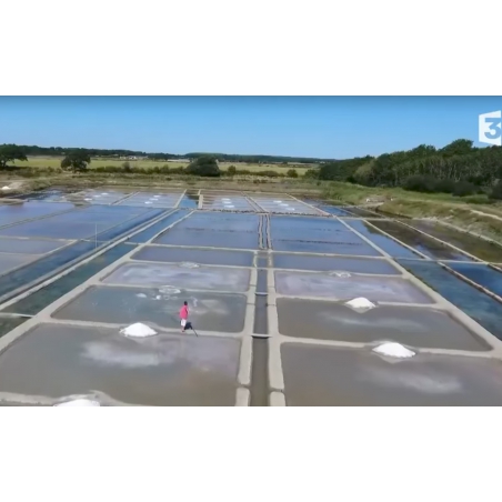 LES LEÇONS NUMÉRIQUES QUESTIONNER LE MONDE