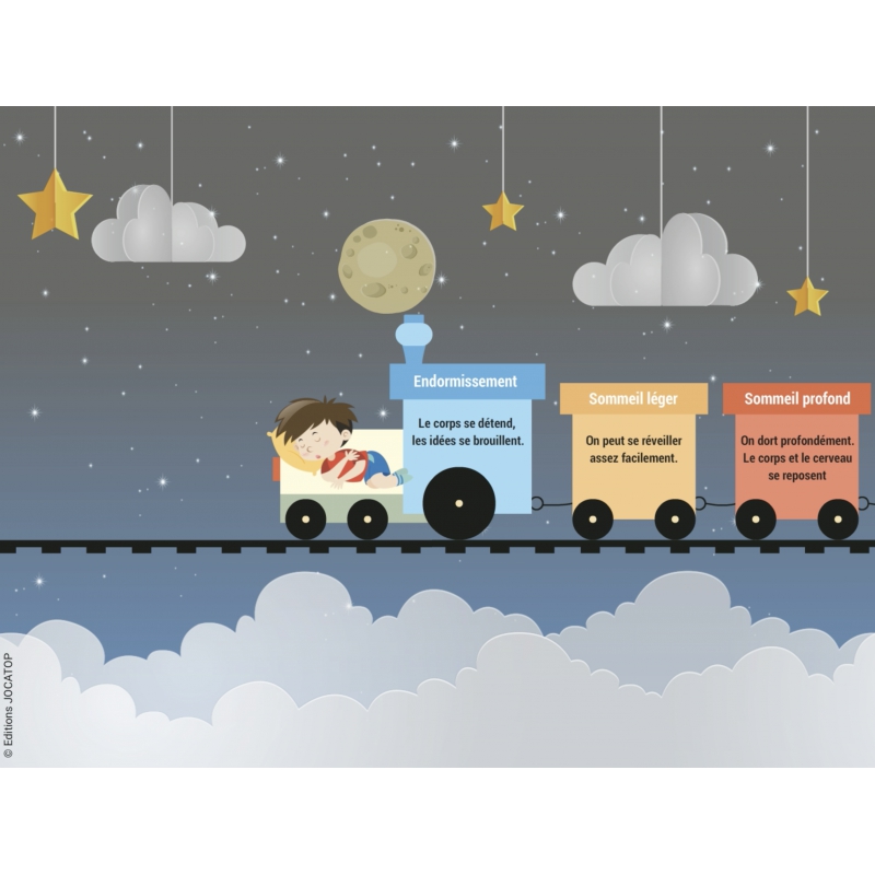 LES LEÇONS NUMÉRIQUES QUESTIONNER LE MONDE