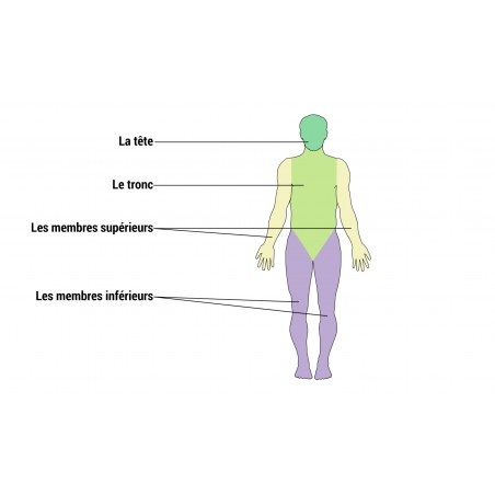 LES LEÇONS NUMÉRIQUES QUESTIONNER LE MONDE