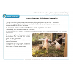 LES LEÇONS NUMÉRIQUES QUESTIONNER LE MONDE