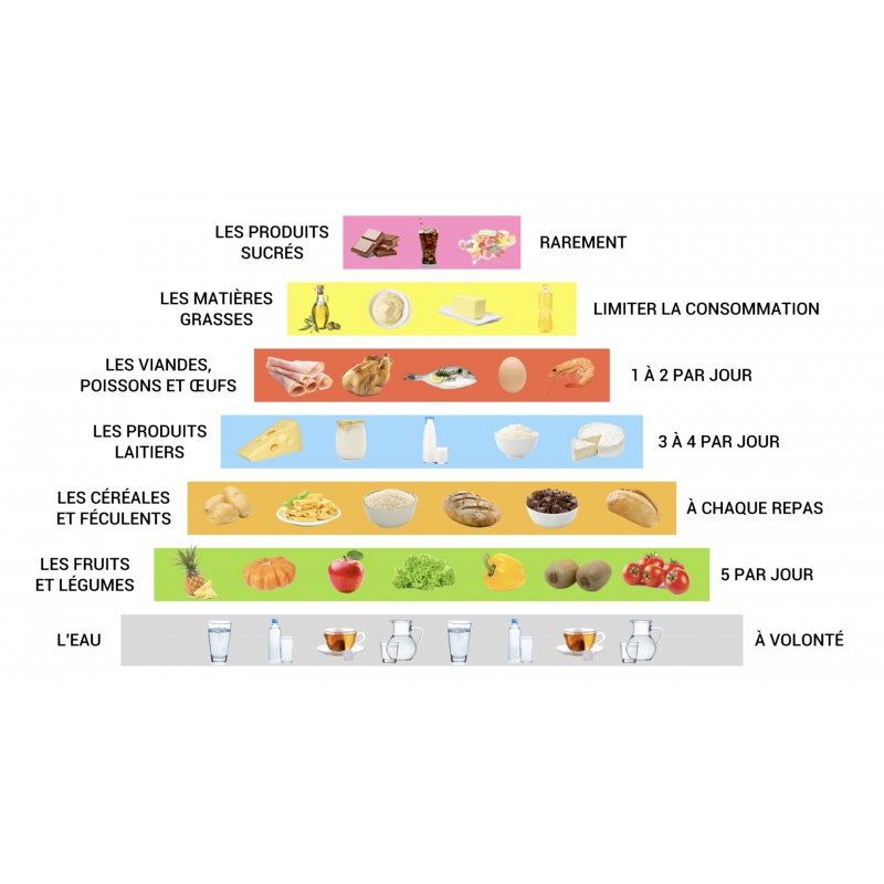 LES LEÇONS NUMÉRIQUES QUESTIONNER LE MONDE