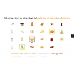 LES LEÇONS NUMÉRIQUES QUESTIONNER LE MONDE