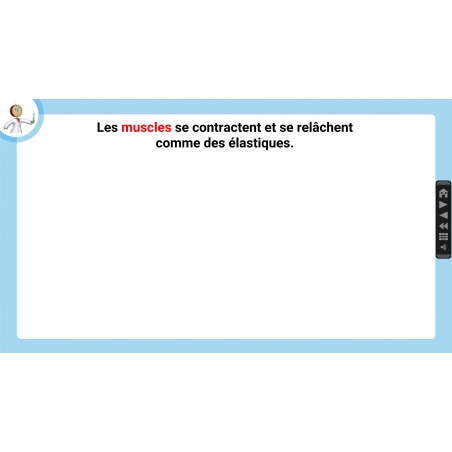 LES LEÇONS NUMÉRIQUES QUESTIONNER LE MONDE –  Les comportements favorables à la santé