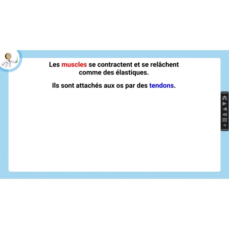 LES LEÇONS NUMÉRIQUES QUESTIONNER LE MONDE –  Les comportements favorables à la santé