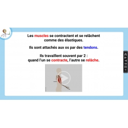 LES LEÇONS NUMÉRIQUES QUESTIONNER LE MONDE –  Les comportements favorables à la santé