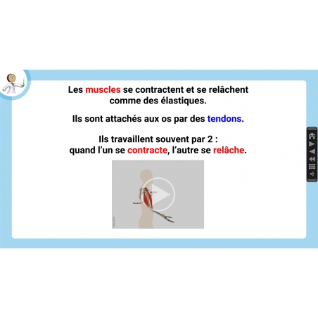 LES LEÇONS NUMÉRIQUES QUESTIONNER LE MONDE –  Les comportements favorables à la santé