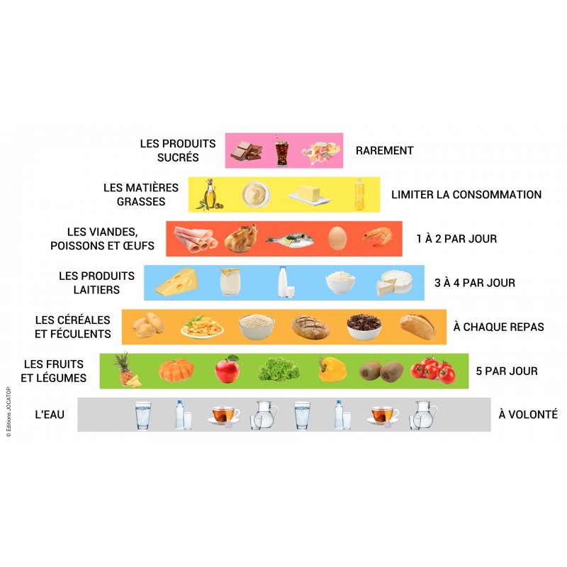 LES LEÇONS NUMÉRIQUES QUESTIONNER LE MONDE –  Les comportements favorables à la santé