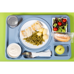 LES LEÇONS NUMÉRIQUES QUESTIONNER LE MONDE –  Les comportements favorables à la santé