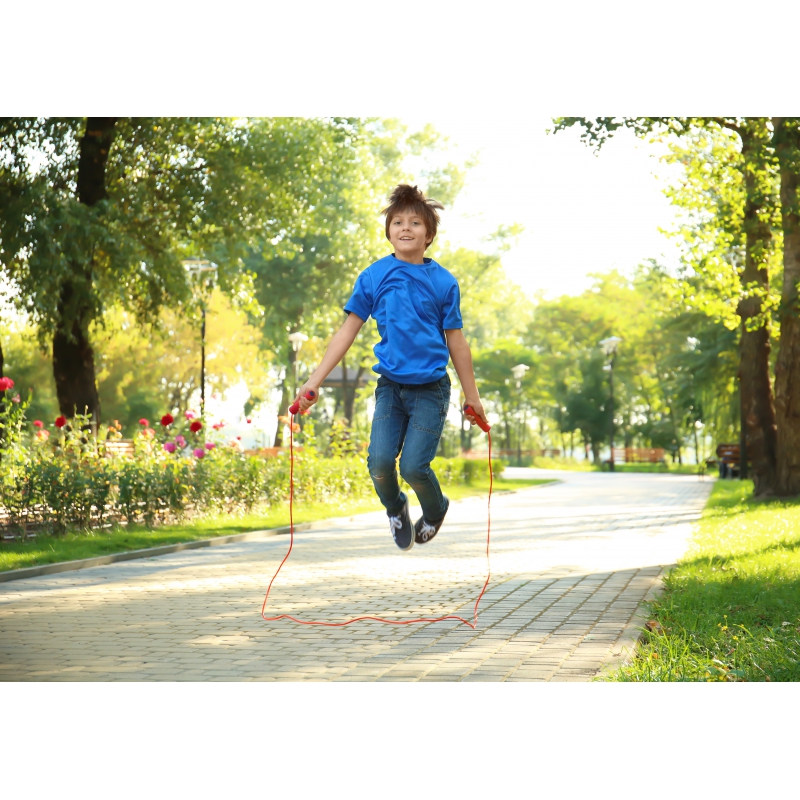 LES LEÇONS NUMÉRIQUES QUESTIONNER LE MONDE –  Les comportements favorables à la santé