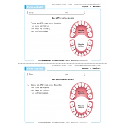 LES LEÇONS NUMÉRIQUES QUESTIONNER LE MONDE –  Les comportements favorables à la santé