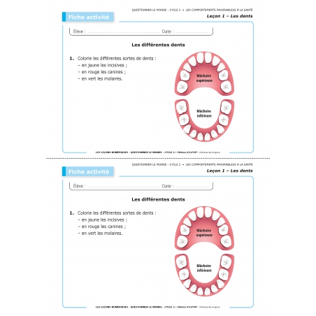 LES LEÇONS NUMÉRIQUES QUESTIONNER LE MONDE –  Les comportements favorables à la santé