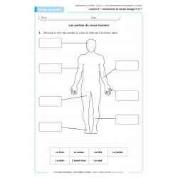 LES LEÇONS NUMÉRIQUES QUESTIONNER LE MONDE –  Les comportements favorables à la santé