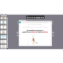 LES LEÇONS NUMÉRIQUES QUESTIONNER LE MONDE –  Les comportements favorables à la santé