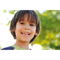 LES LEÇONS NUMÉRIQUES QUESTIONNER LE MONDE –  Les comportements favorables à la santé