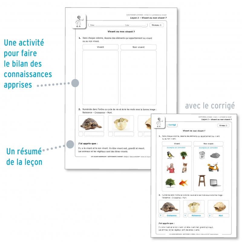 LES LEÇONS NUMÉRIQUES QUESTIONNER LE MONDE