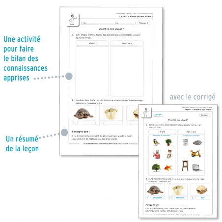 LES LEÇONS NUMÉRIQUES QUESTIONNER LE MONDE